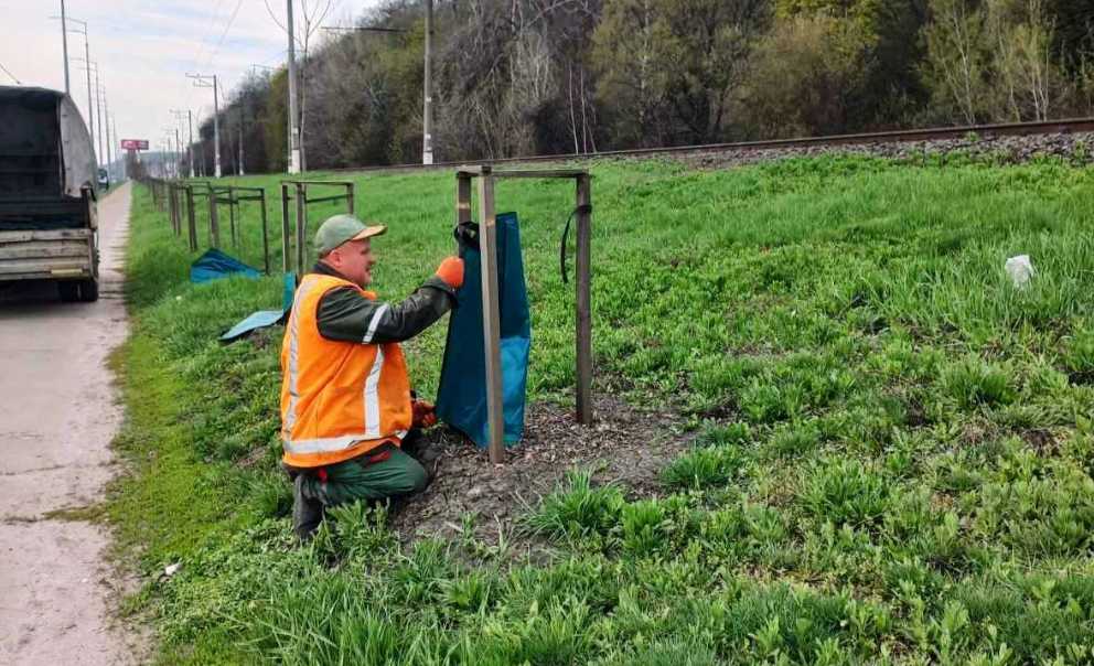 У столиці готуються до спекотної погоди й дбають про дерева
