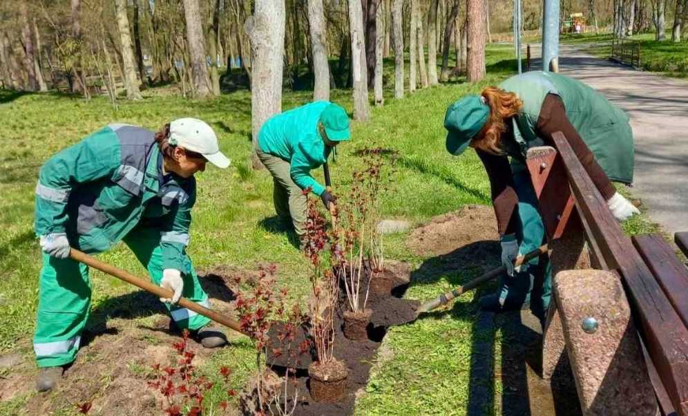 В зеленых зонах столицы высадили сотни новых деревьев, тысячи кустарников и цветов