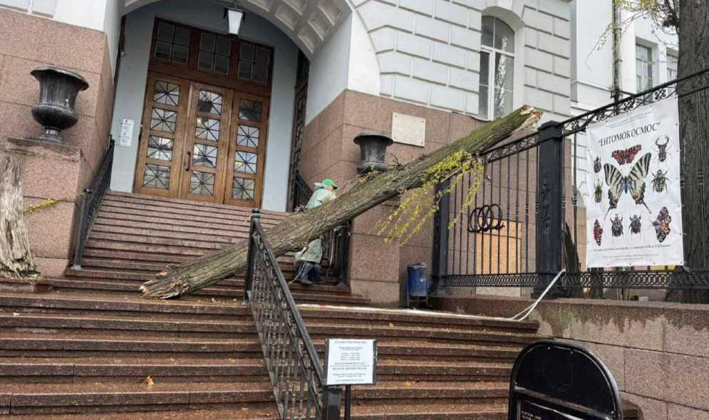 Шквальний вітер у Києві: наслідки негоди