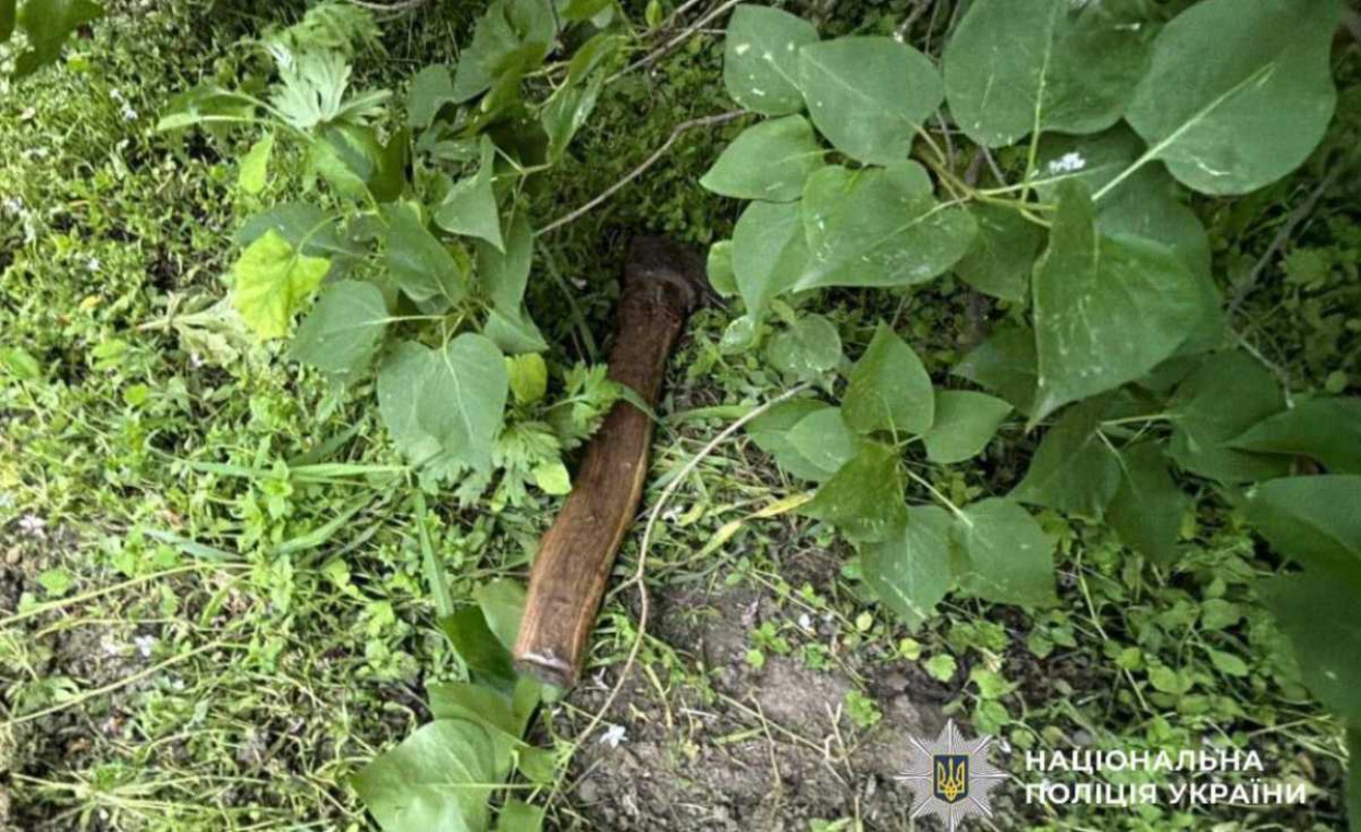 В Березане спасли женщину, которой родной брат нанес четыре удара топором по голове
