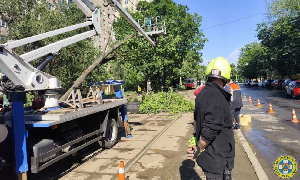 В трёх районах Киева убирали деревья, поваленные непогодой