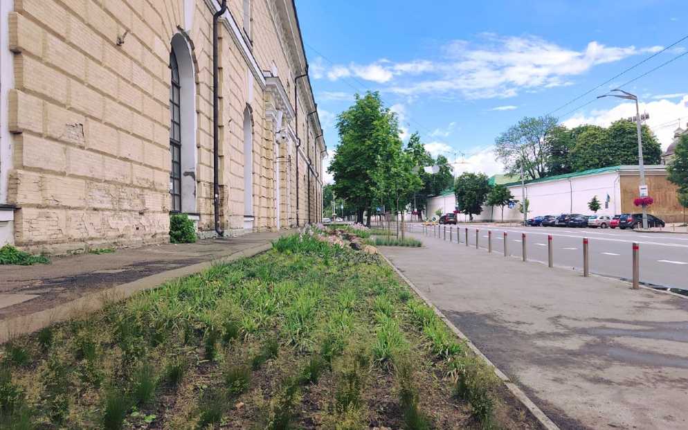Дождевой сад появился возле «Художественного Арсенала» в Киеве