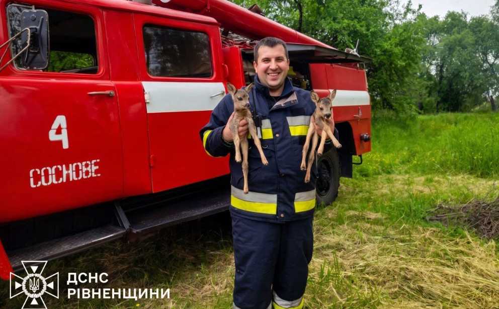 Спасатели спасли двух оленят из огненной ловушки