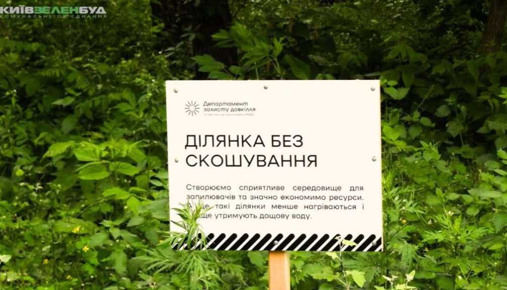 Чому в Києві залишають ділянки без скошування трави: пояснення