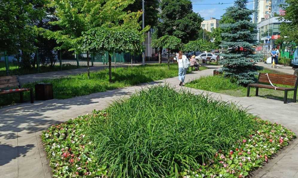 В столичной Соломенке завершили озеленение сквера