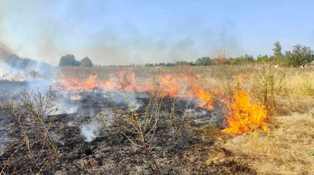 Не час для шашликів на природі: у Києві та області високий рівень пожежної небезпеки