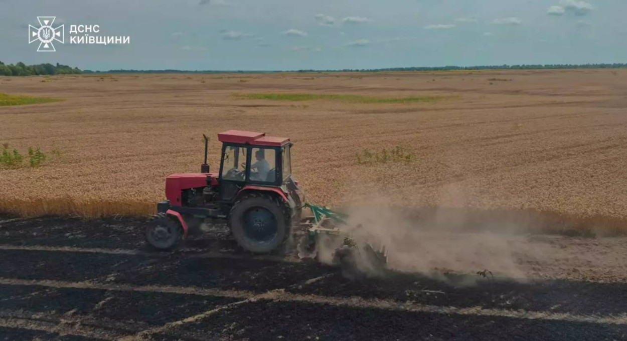 В Киевской области загорелось пшеничное поле: огонь охватил гектар посевов