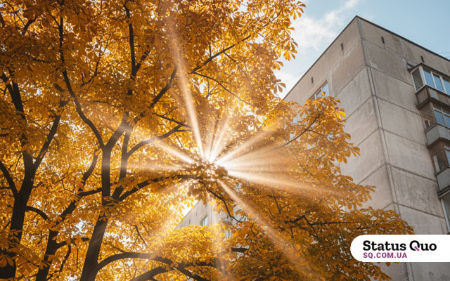 Ноябрь этого года в Киеве был теплее нормы более чем в два раза