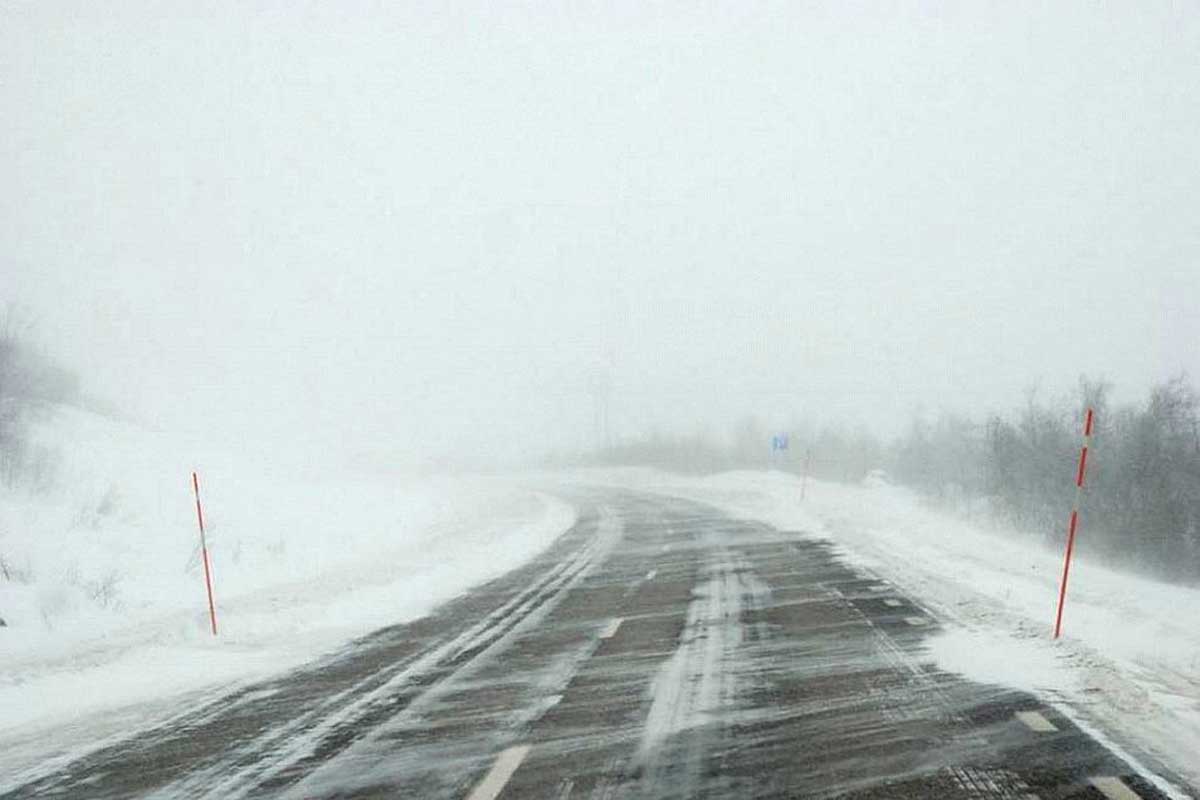На Киев снова идет снегопад, водителей просят не выезжать