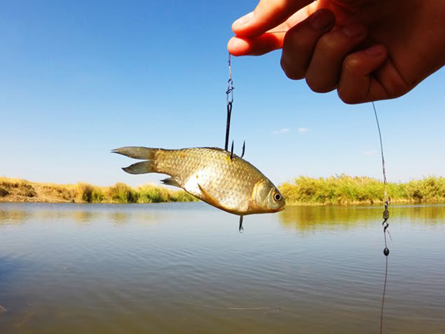 На Киевском водохранилище браконьер наловил рыбы на десятки тысяч гривен