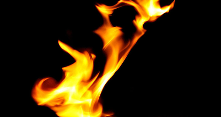 Ночью в Борисполе сгорел киоск с шаурмой