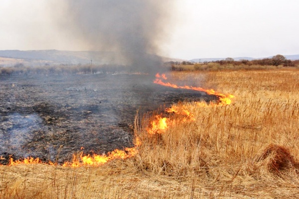 В Киевской области на поле загорелся трактор